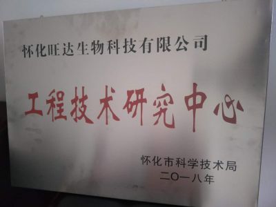 九游官网荣获“怀化市工程技术研究中心”称号